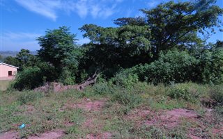 986 m² Land available in Nagina
