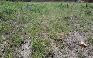 1125 m² Land available in Elti Villas