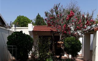 1 Bedroom House in Risidale