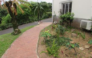2 Bedroom Garden Cottage in Berea West