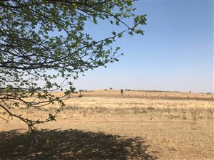8.6 ha Farm in Meyerton