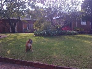 15 ha Farm in Donkerhoek