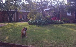 15 ha Farm in Donkerhoek