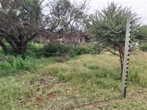 8565 ha Land available in Knopjeslaagte