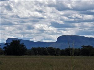 375 ha Farm in Alma