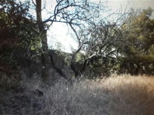 2267 m² Land available in Monument Park