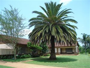 2 ha Farm in Swacina Park A H