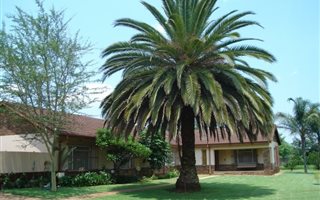 2 ha Farm in Pretoria West