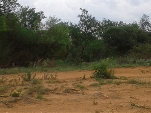 1.1 ha Land available in Rietfontein