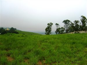 4162 m² Land available in Monteseel
