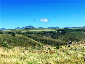 300 m² Land available in Gondwana Game Reserve