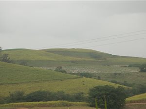 214 ha Farm in Stanger