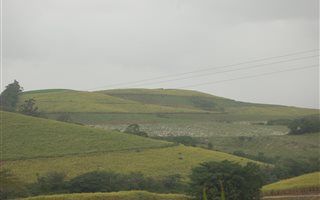 214 ha Farm in Stanger