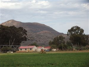 19 ha Farm in Touws Rivier