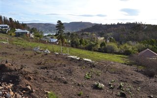 831 m² Land available in Kanonkop