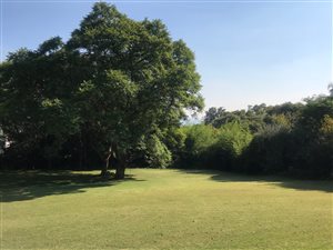 1850 m² Land available in Northcliff