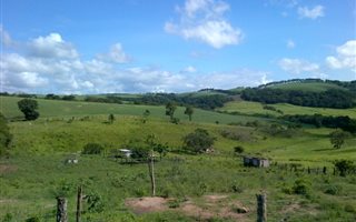4 ha Farm in Stanger