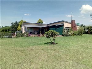 6 ha Farm in Greytown