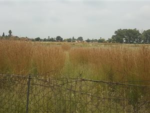 3.2 ha Land available in Sunair Park
