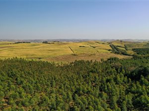 2.8 ha Land available in Blythedale Beach