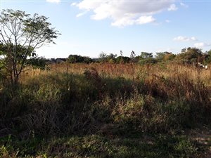 4001 m² Land available in Ashburton