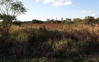 4001 m² Land available in Ashburton