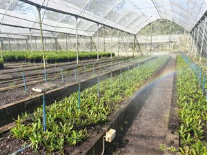 7.6 ha Farm in Monzi