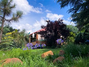 13 ha Smallholding in Ermelo