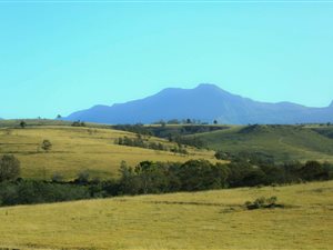 315 ha Farm in Ruiterbos