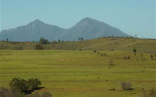 315 ha Farm in Ruiterbos