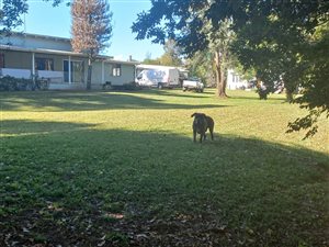 2720 ha Smallholding in Greytown