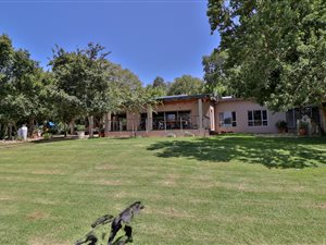 8.5 ha Farm in Kameeldrift East