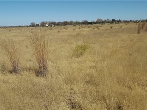 15 ha Land available in Vyfhoek