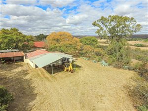 8 ha Farm in Boschkop