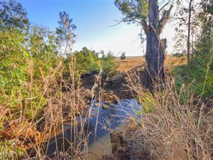 138 ha Farm in Middelburg Central