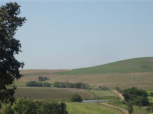 76 ha Farm in Ballito