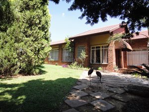 5 Bed House in Aviary Hill