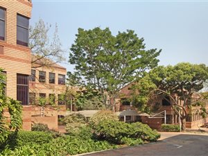 250 m² Office Space in Ferndale