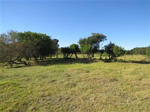 3712 m² Land available in Bathurst and Surrounds