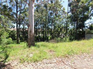 1289 m² Land available in Heatherlands