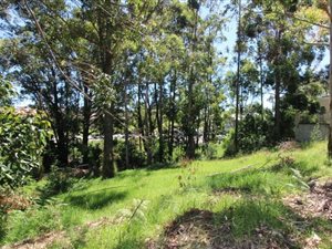 1289 m² Land available in Heatherlands