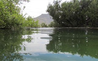 2016 ha Farm in Graaff Reinet