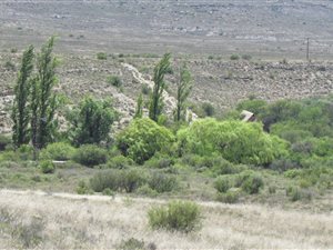 2016 ha Farm in Graaff Reinet