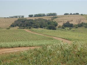 116 ha Farm in Ballito