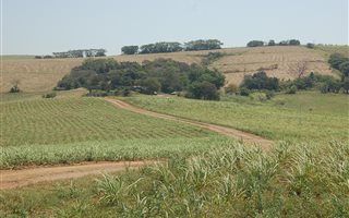 116 ha Farm in Ballito