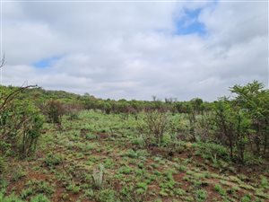 10 ha Farm in Boschkop