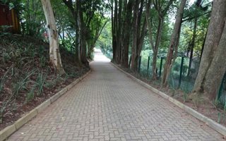 2153 m² Land available in Winston Park