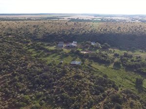 2377 ha Farm in Hertzogville