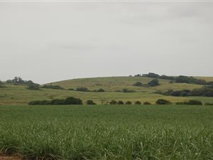 127 ha Farm in Ballito