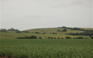 127 ha Farm in Ballito